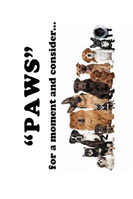 PAWS (bundles of 50)